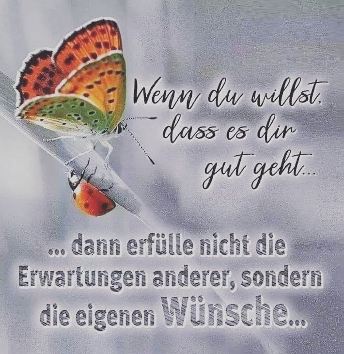 295934824_584096583180879_1856865519411213371_n