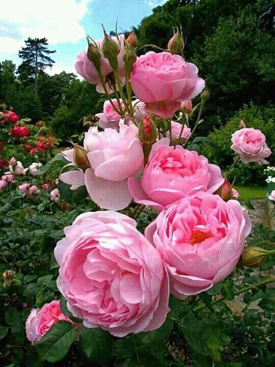 296032678_478890327573840_2690036493842536584_n