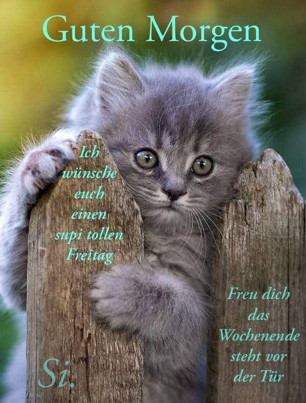 296161932_372732731672498_5617516954367051136_n