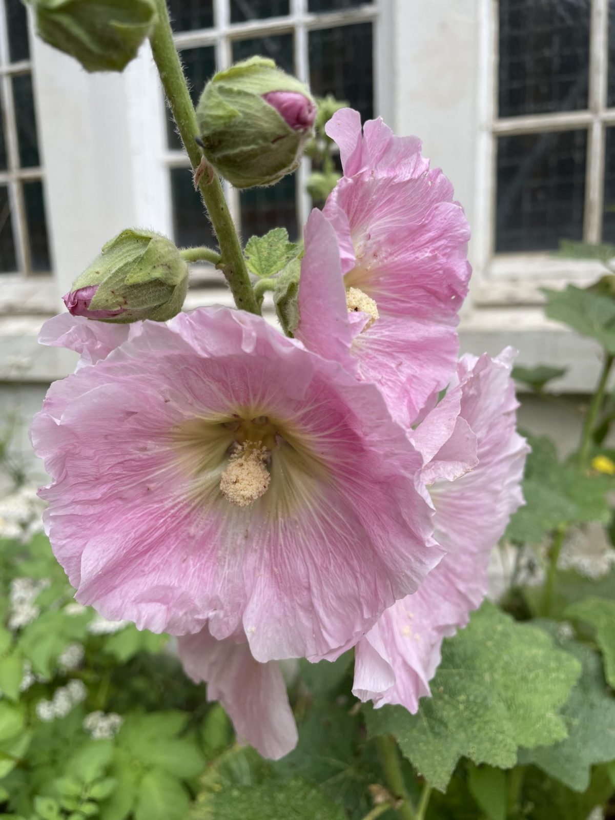 297C67E1-E3F8-45DA-9FE0-8731B34640F7