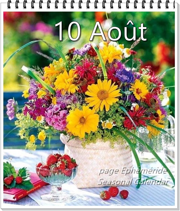 298833172_5631038340279549_6351175605047806097_n