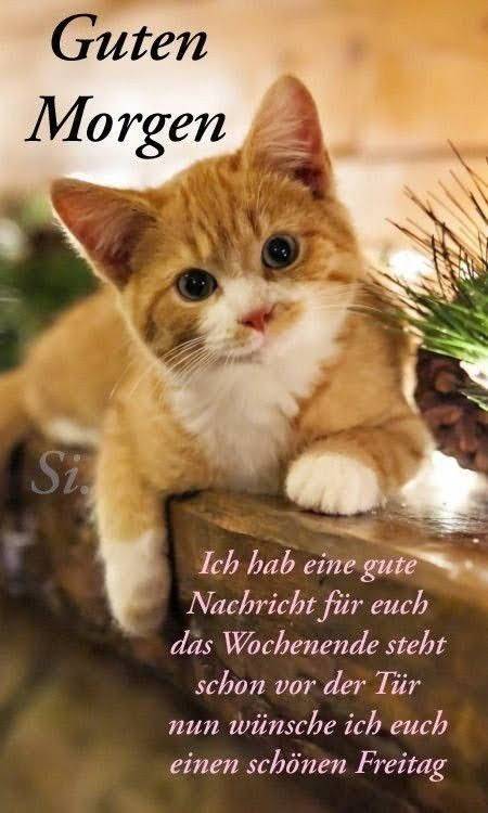 299164488_381791097433328_3788761116605053252_n (2)