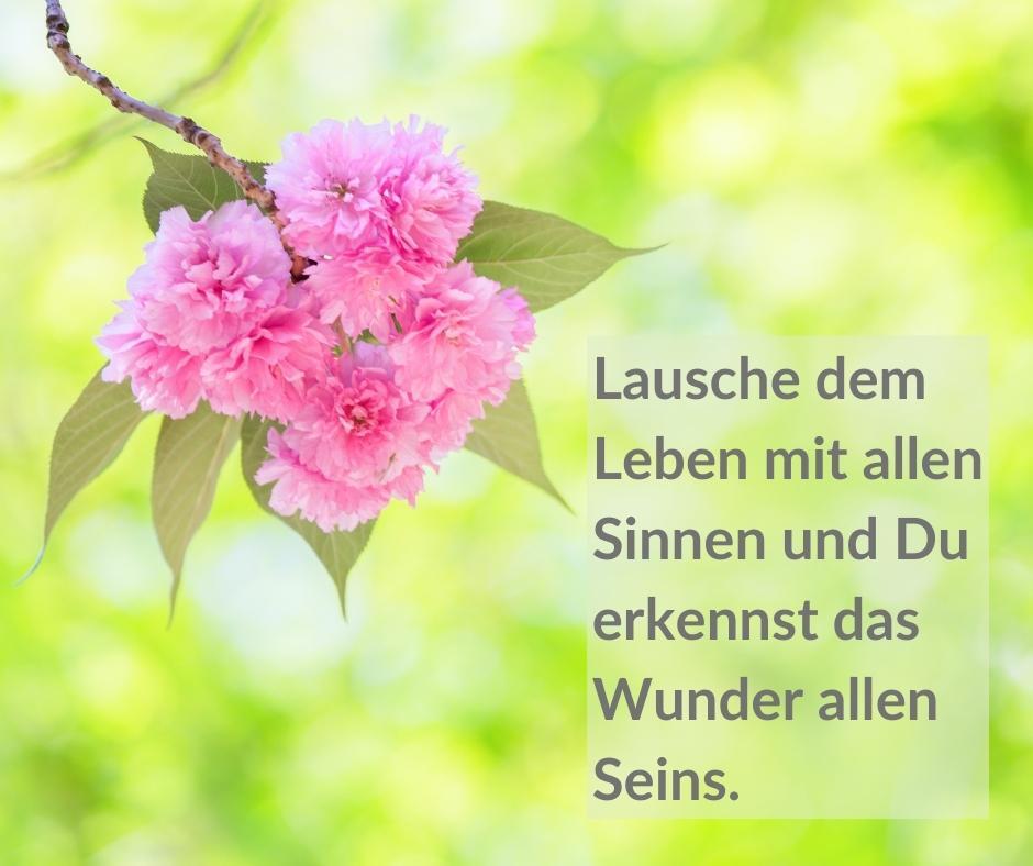 299268884_8267080653332476_8299436604120723413_n