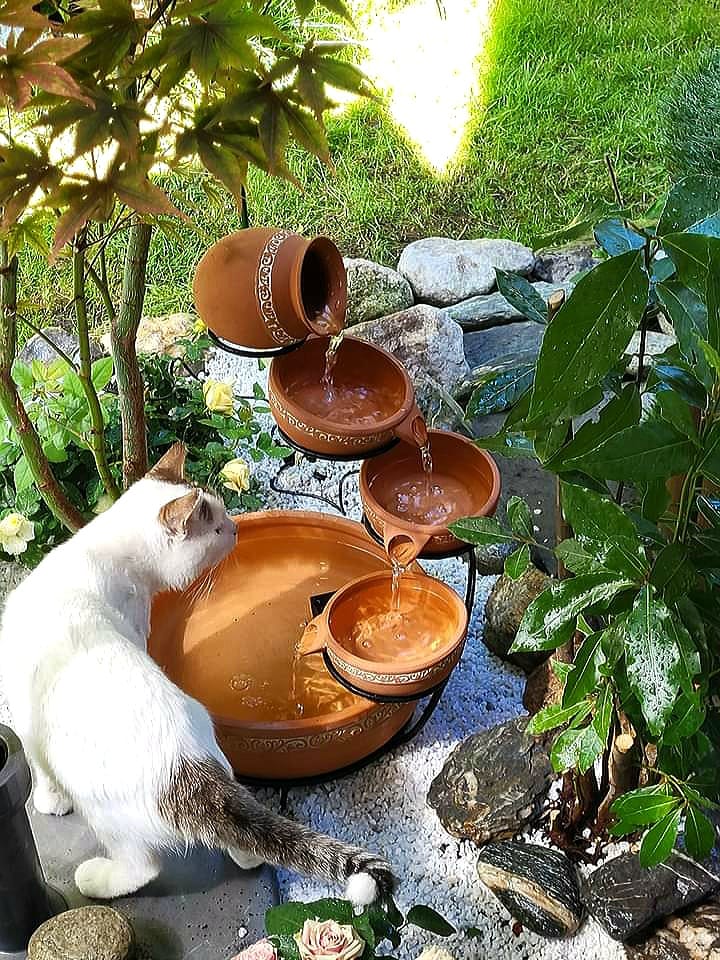 299814417_1452297211885196_5028498434298639434_n