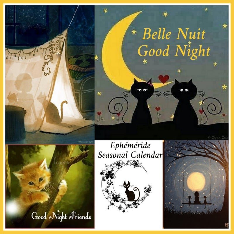 299905607_5652980134752036_5624682404259207475_n