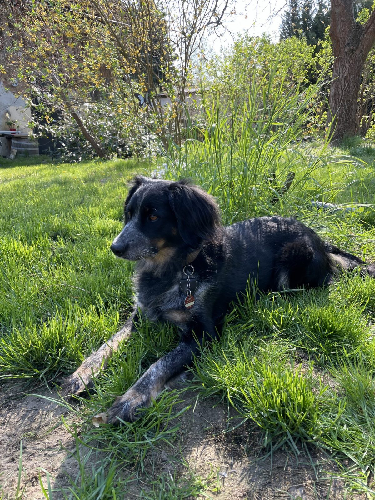 29A972C4-4AC6-44E3-A203-2A1FD7DDEAF0