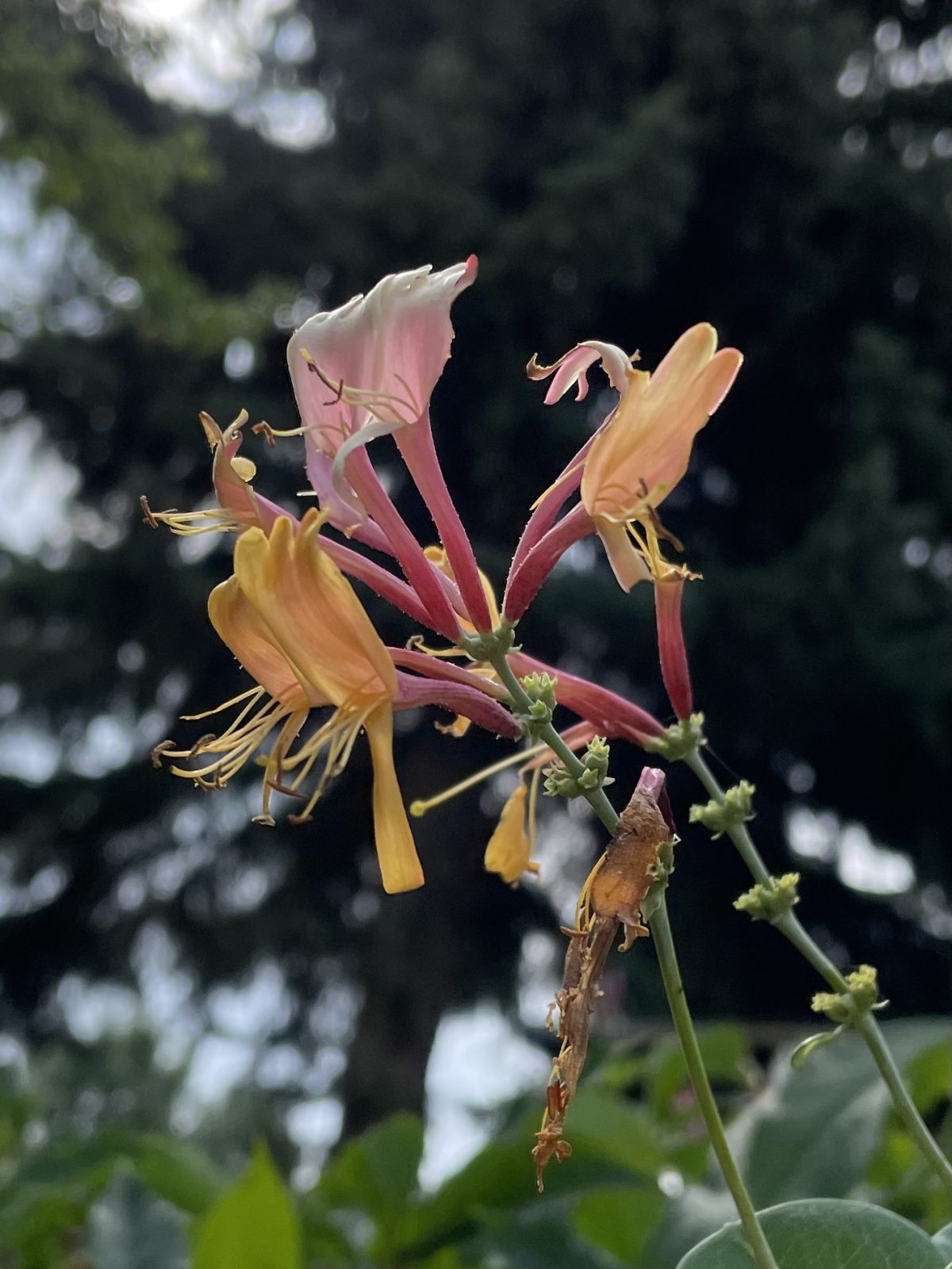 2A0C049E-E529-41A4-BFE6-8DDB0F7269FC