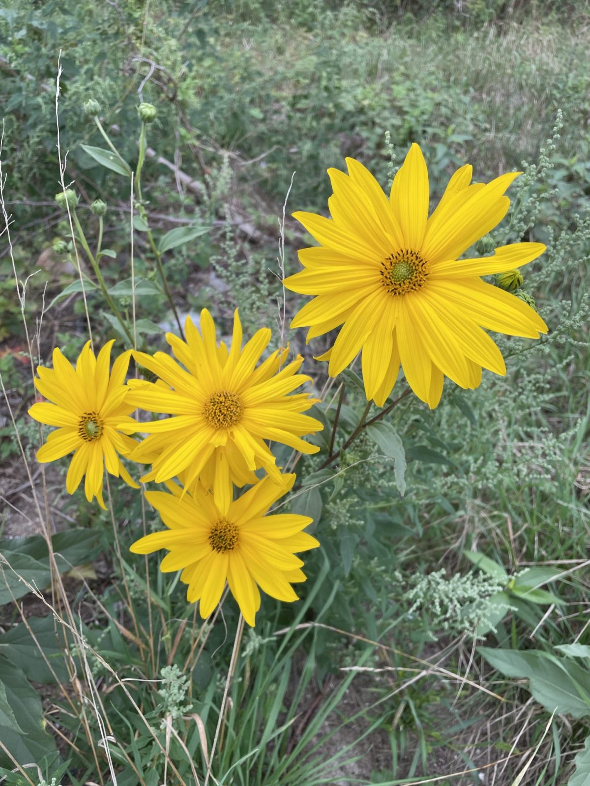 2A328D75-7081-4058-87F1-CA85451B5242