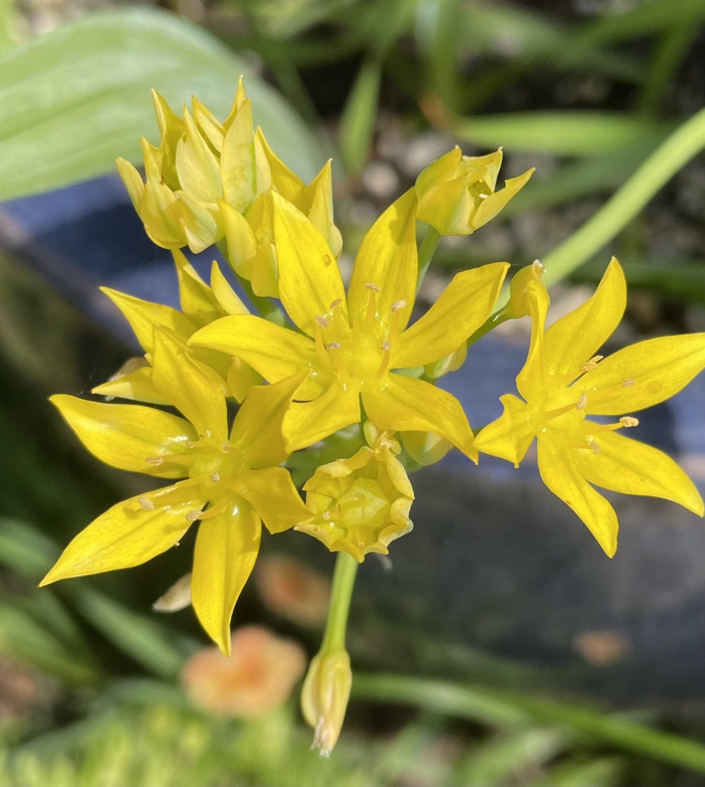 2A4E9774-3794-45DD-8E46-725424A5C44F