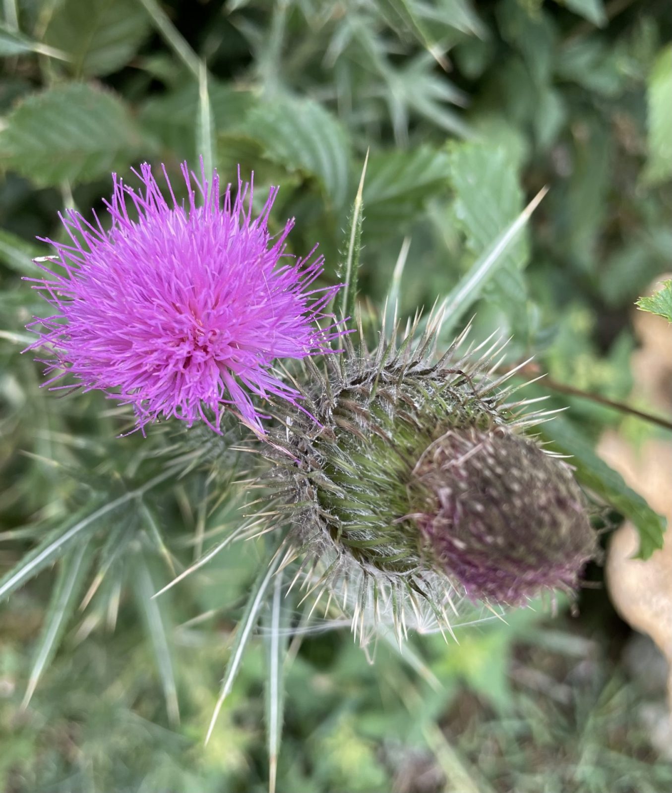 2B053259-6AA7-4271-84E6-5895FBDB7A40