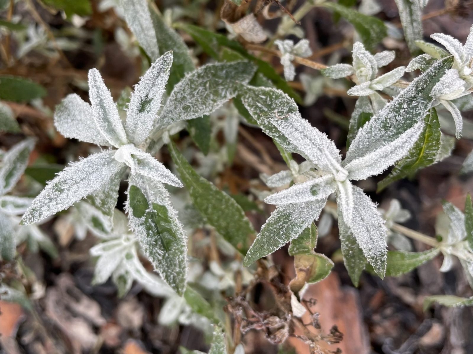 2B355EC9-11F9-4A32-98B1-D30AACAC99FB