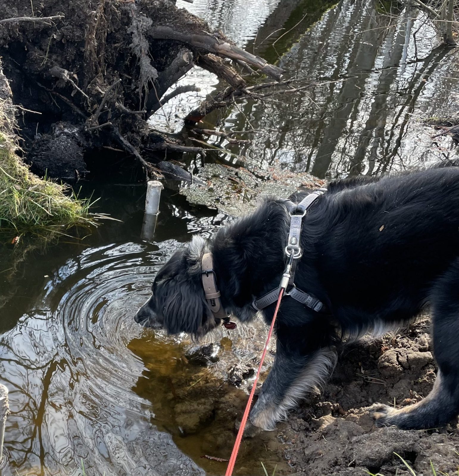 2B82DA0C-BB70-498B-854F-79986A7D577E