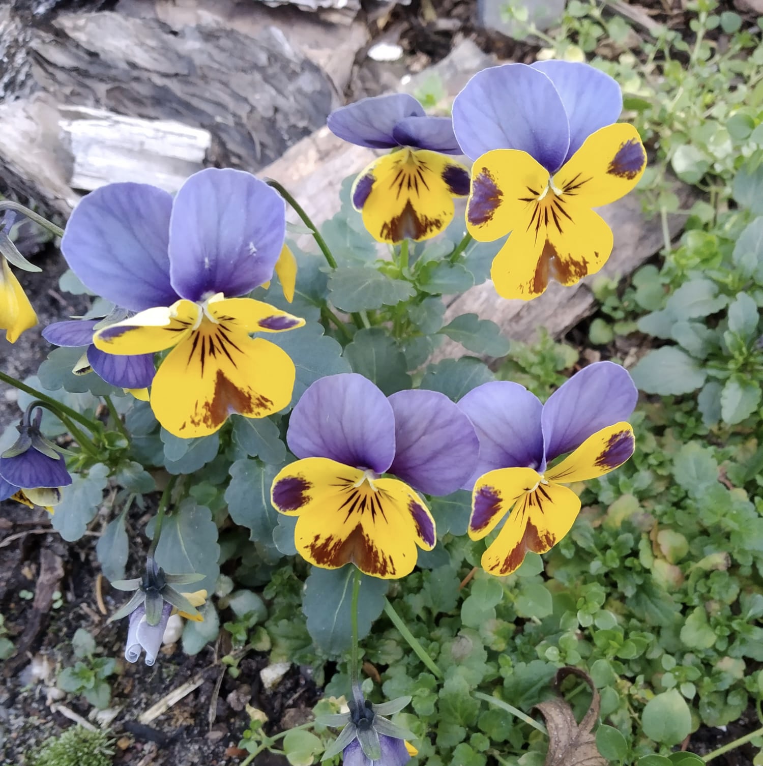 2BA36BD4-4A6A-41A5-AB6C-F874E38DFBEE