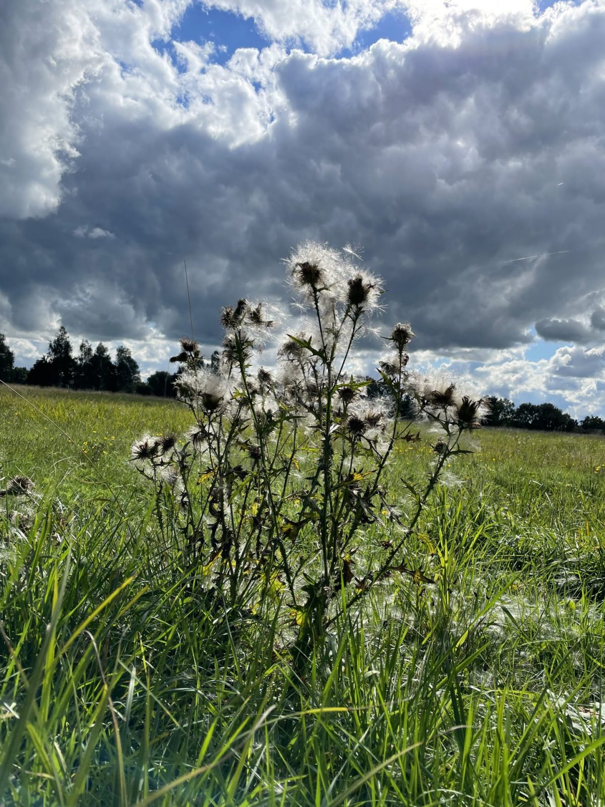 2BD15E37-E912-4347-B0CB-16EA66ED62C4