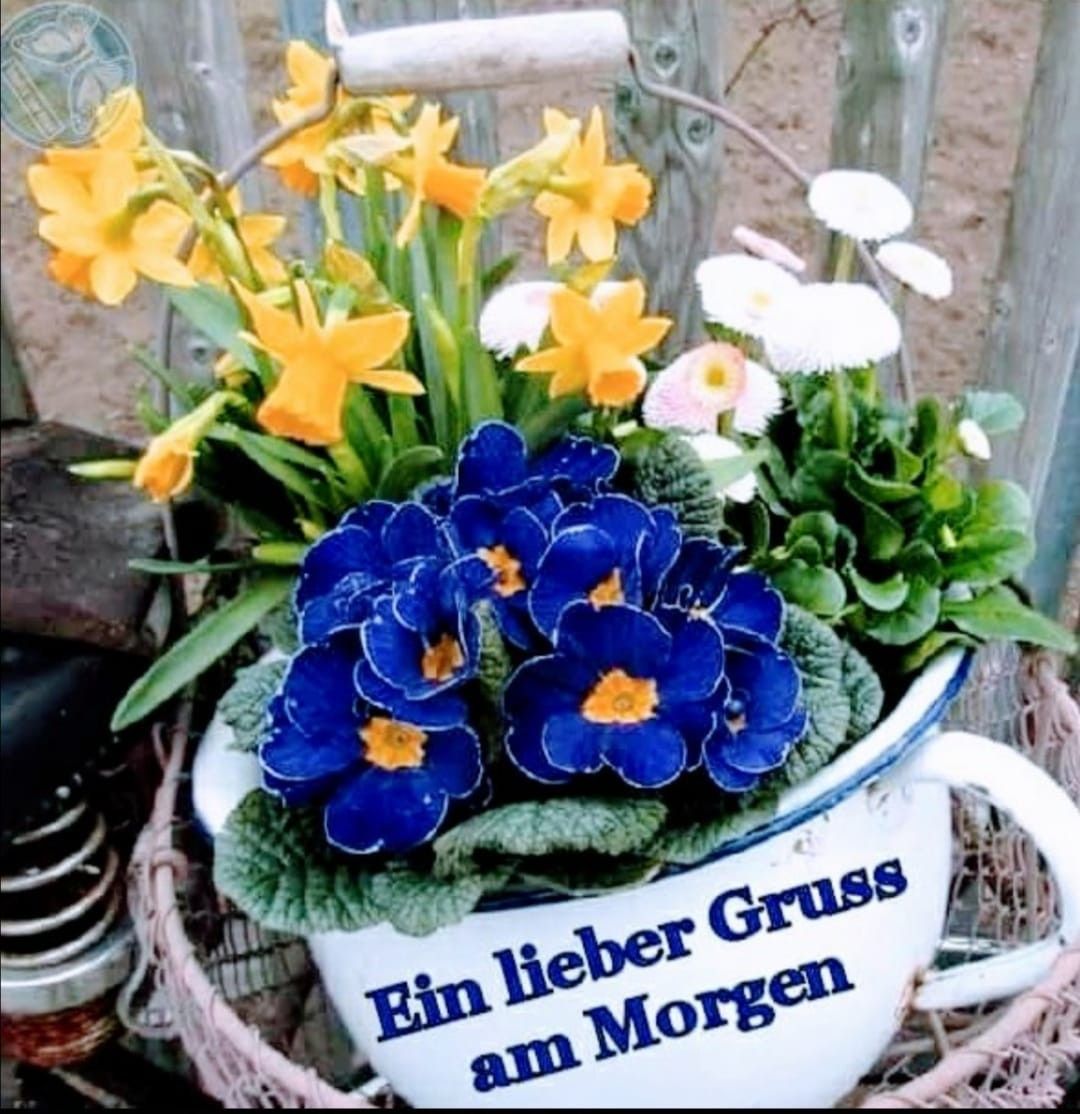 2BD302B0-A9CD-4F73-8789-C7745211977F