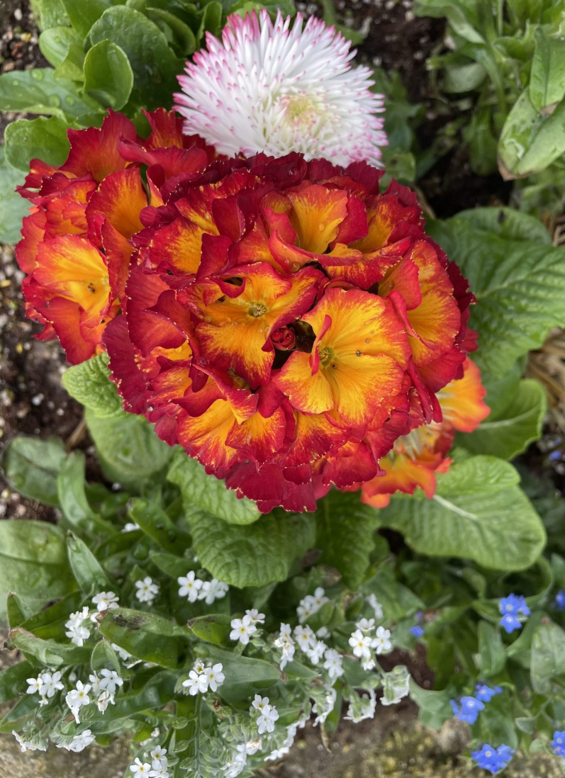 2C686CC4-B9AB-445C-BAE1-764A28DD4D1A