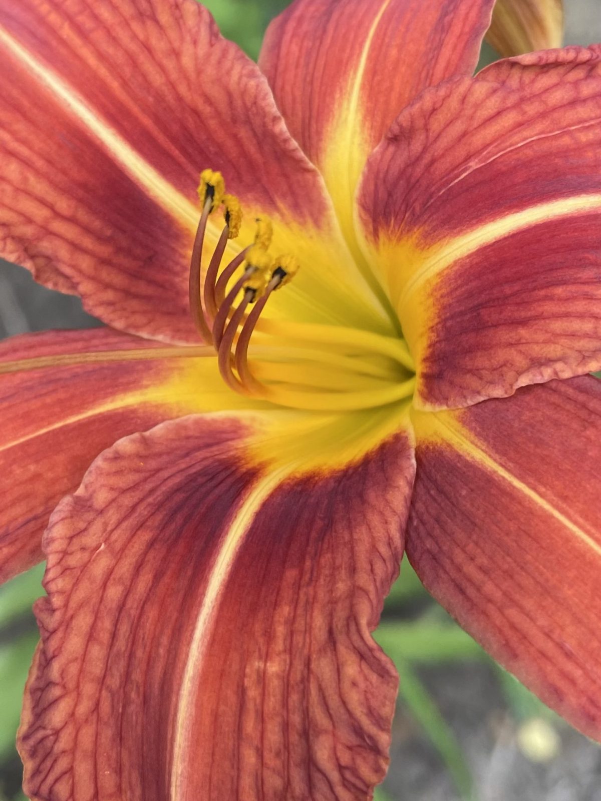 2C7DDCDB-89B7-4CFF-BC06-0F2FBD7F0FC1