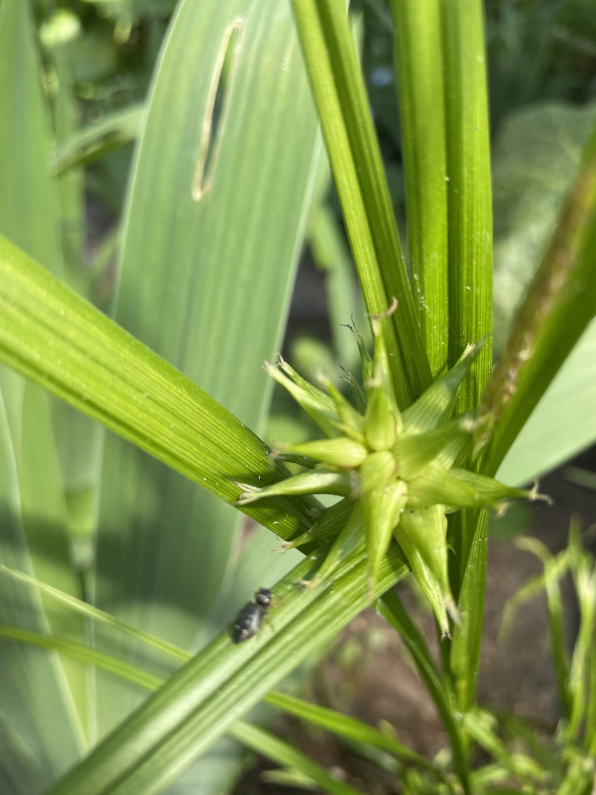 2CB346C9-9C05-4B60-B5F4-C502A9487053