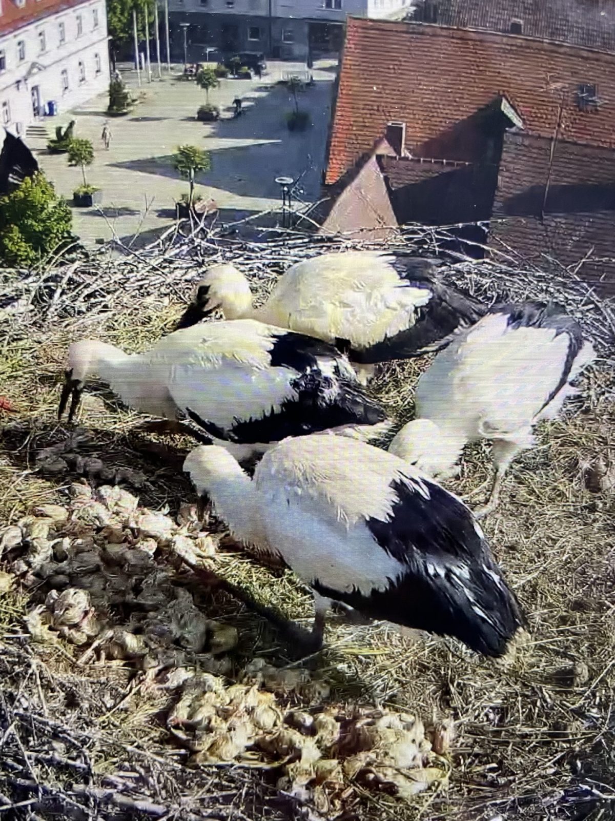 2D177FEE-98C2-401F-A0D0-85866DC6399E