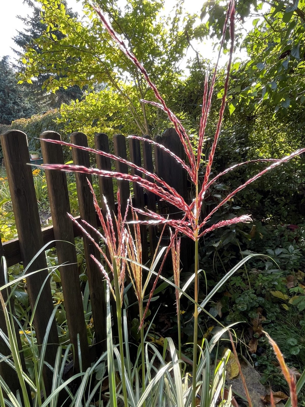 2D1D7A00-807B-4AD2-97C1-F92A2C526B3A