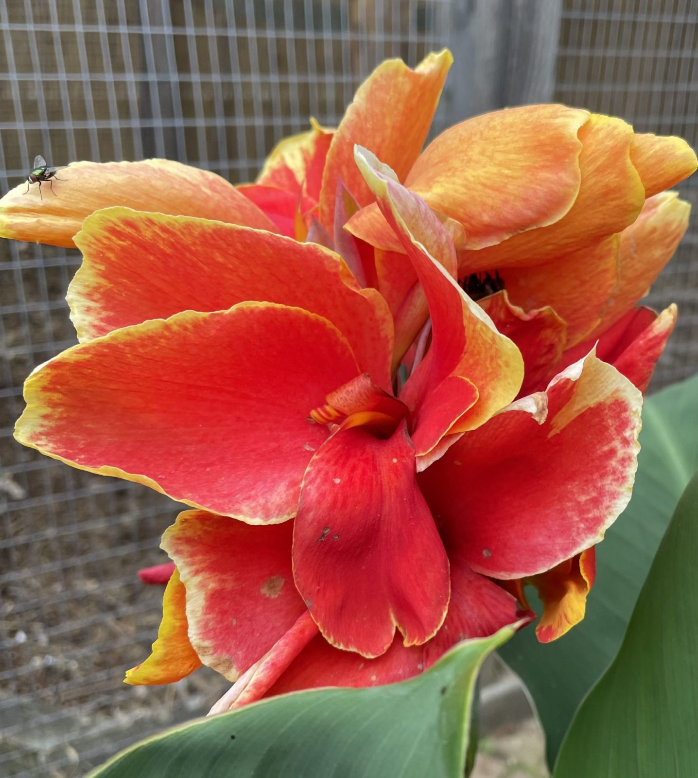 2D42A17C-9D3A-47E8-B9EA-BCA62F030DCD