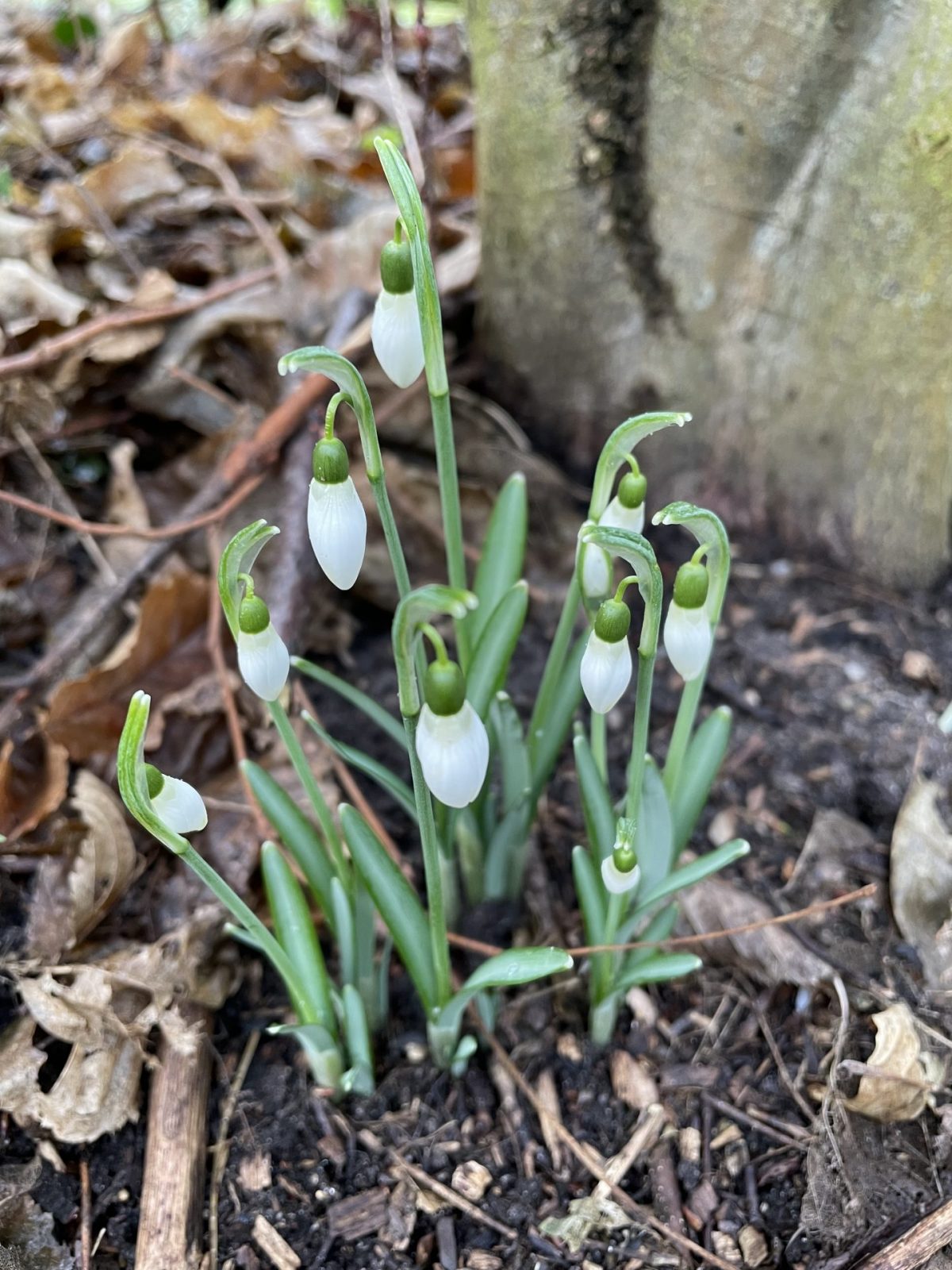 2DAED327-AC05-4CDE-911F-CC5D7F099665