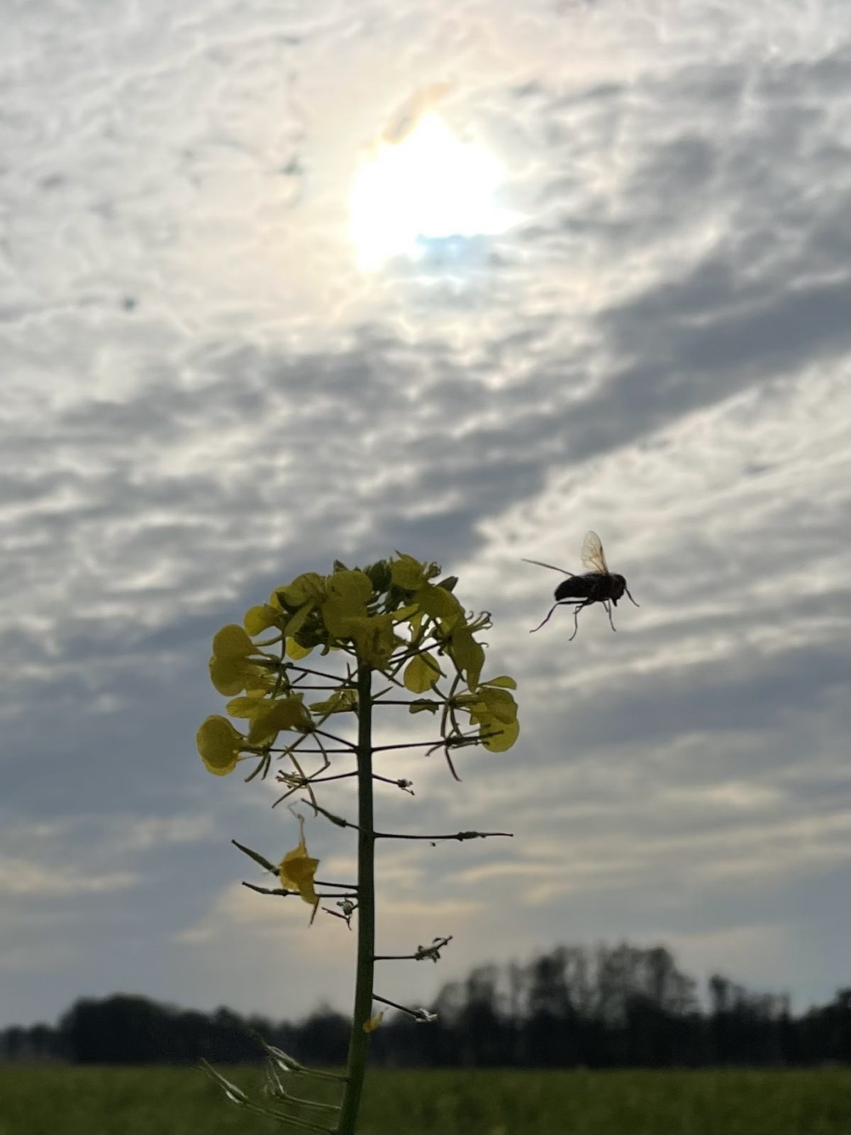 2E22C720-2ED4-4929-A119-85E2DCE95C6A