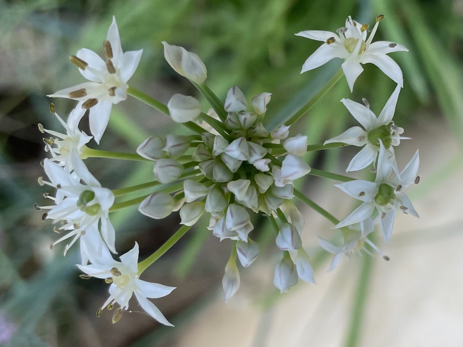 2E27AF85-4C55-4312-B057-BA4E31327FC9