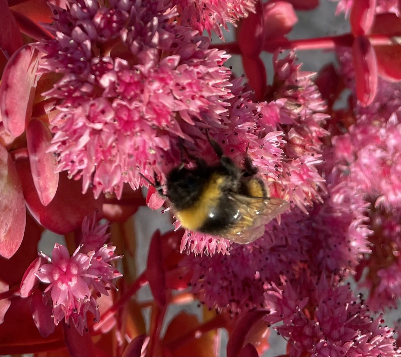 2E689ABF-AD8D-40AD-8D19-B8A9968AD147