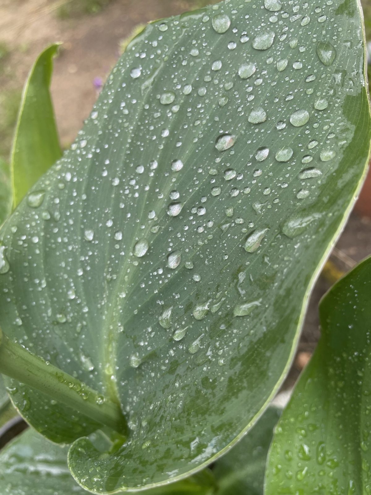 2EB3B924-214C-4D49-95D2-C1802F1EF05D