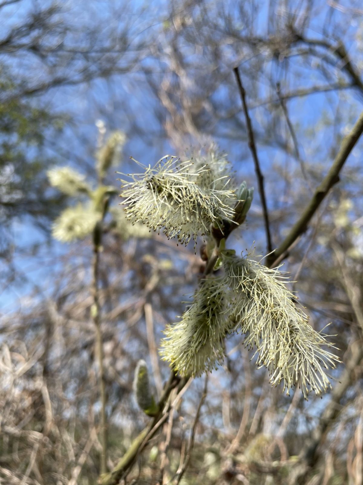 2F58B097-5159-4568-9CA2-853581620B27