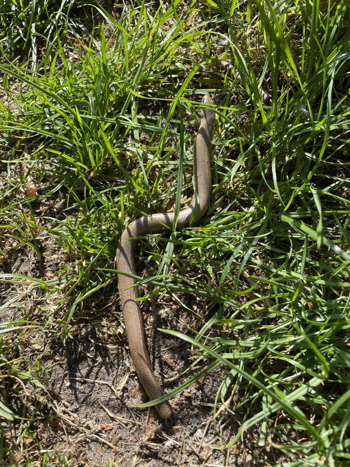 2F69F0EC-D1FF-43B0-A3A5-D54E32928972