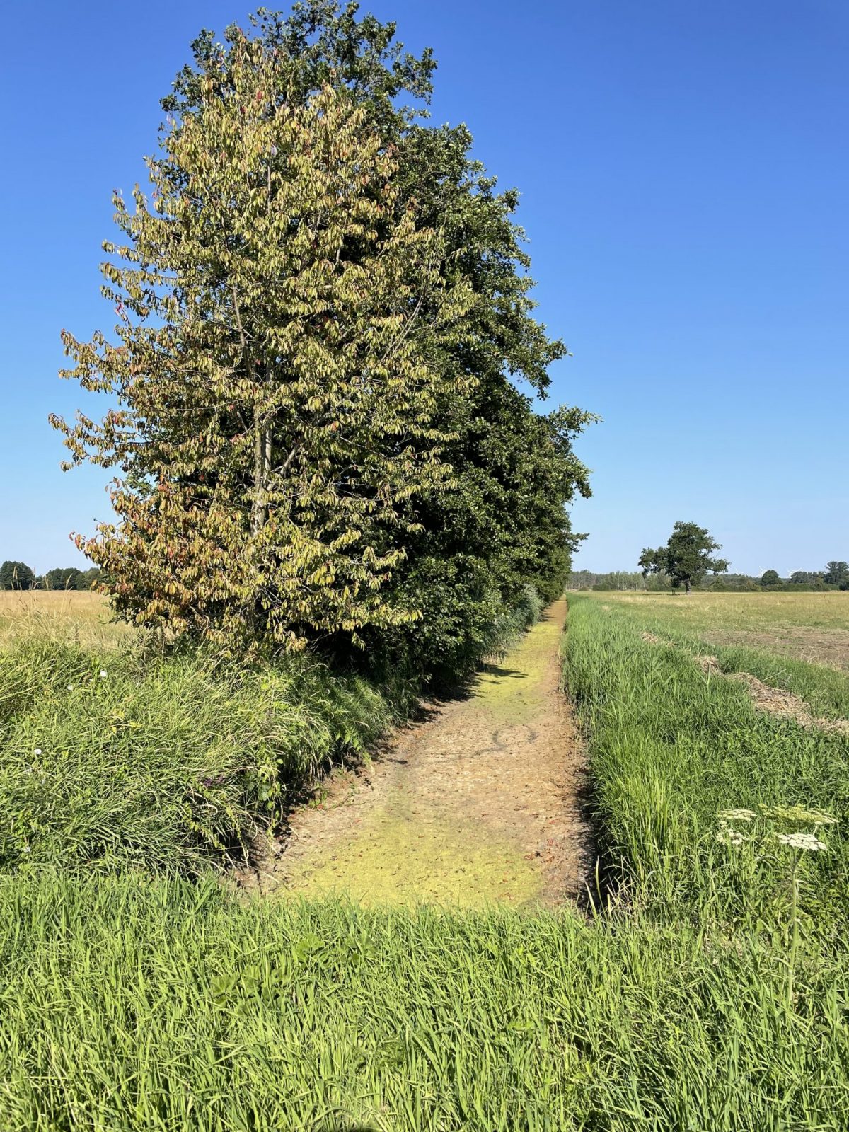 2F78D191-2C74-4B2E-BA3D-780428B8C7FC