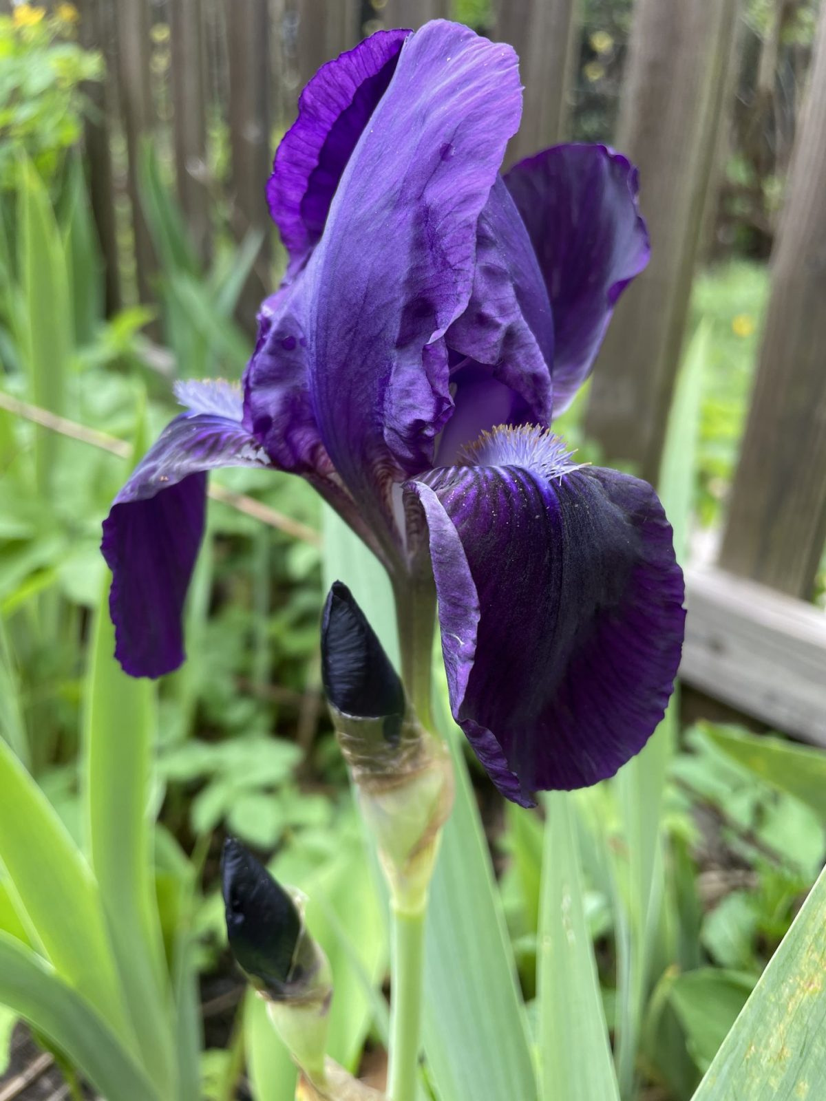 2FBD7653-8CDC-46C5-8200-872B34B37631