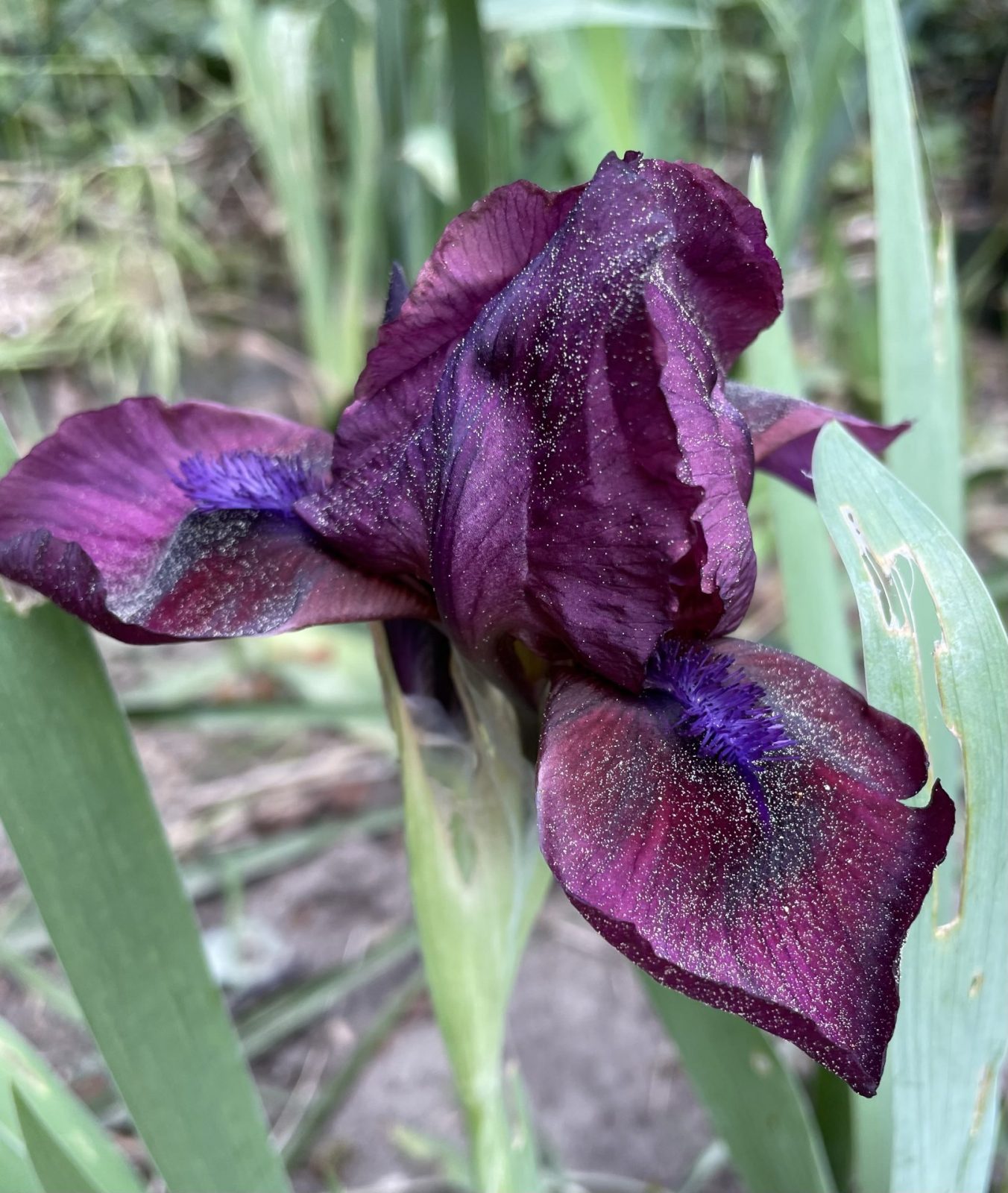 2FD9D02B-2449-44B1-B667-12F3D824B60D