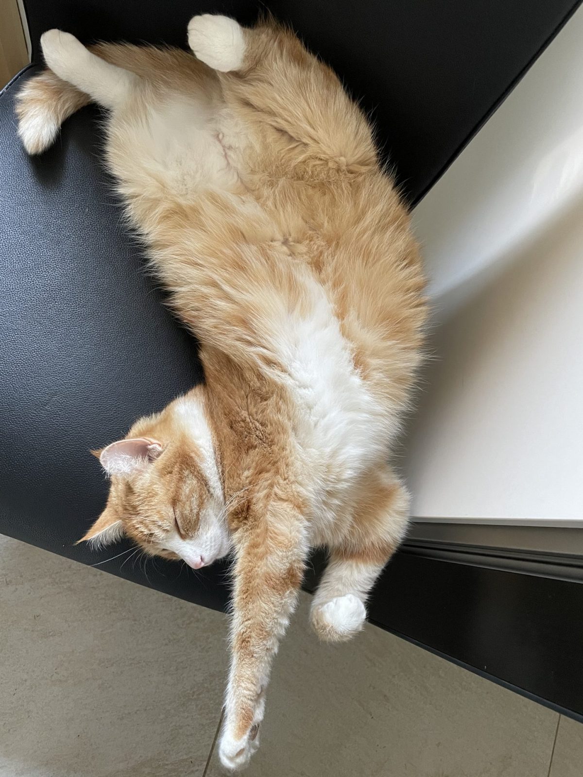 2FF434BB-B17E-4E70-9CC6-0B284606244D