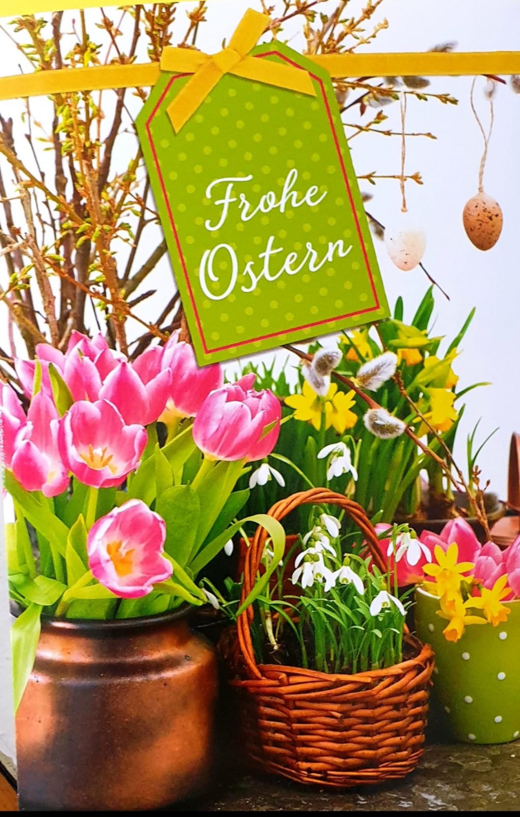 2b75cae8-665a-46f2-8f58-6a994bc7c125