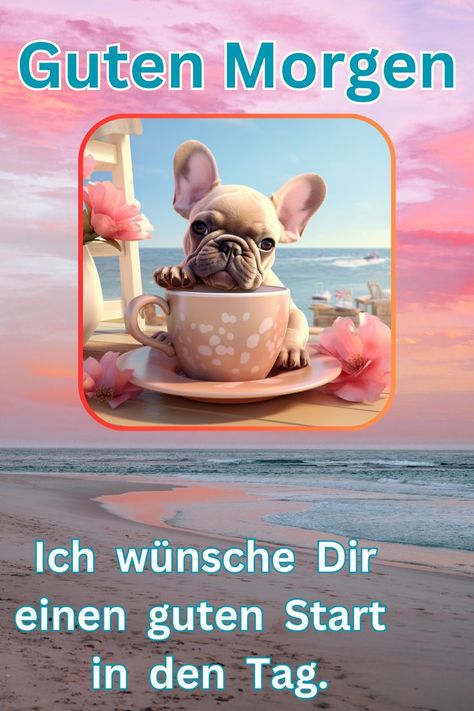 2bb6f69f5e25fa9eceeb7dff9b478edf