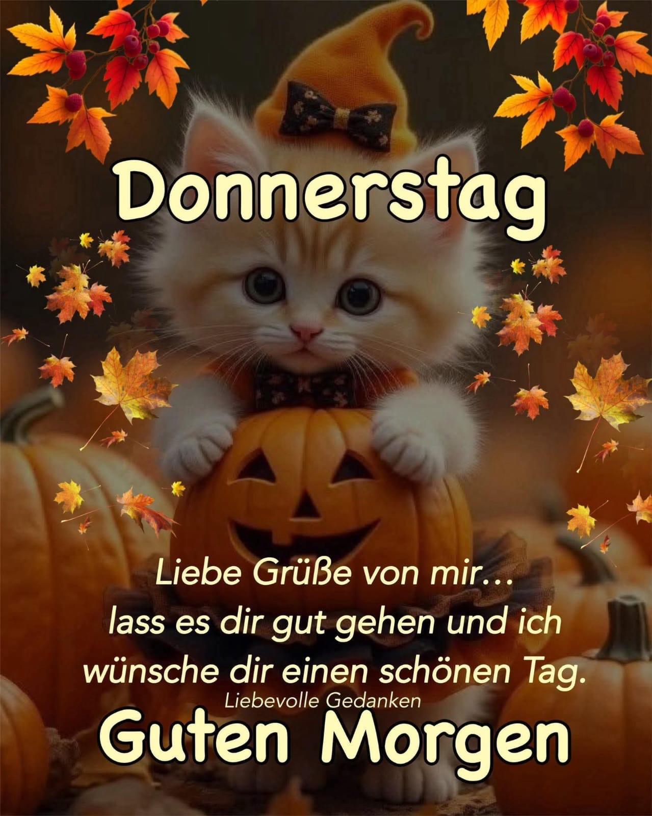 2e5bad2a-7b5b-494e-87e0-f385d7938ab5