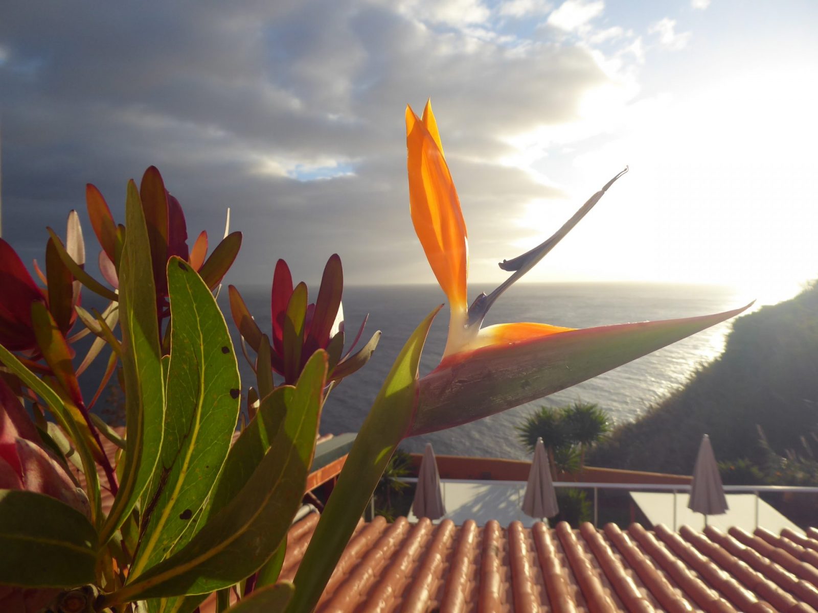 3.bis 5.12.2021 (28)