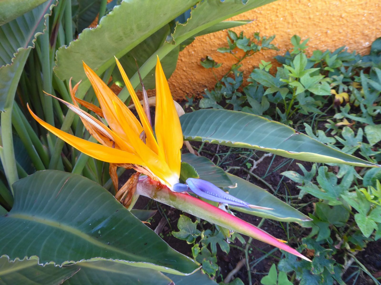 3.bis 5.12.2021 (98)