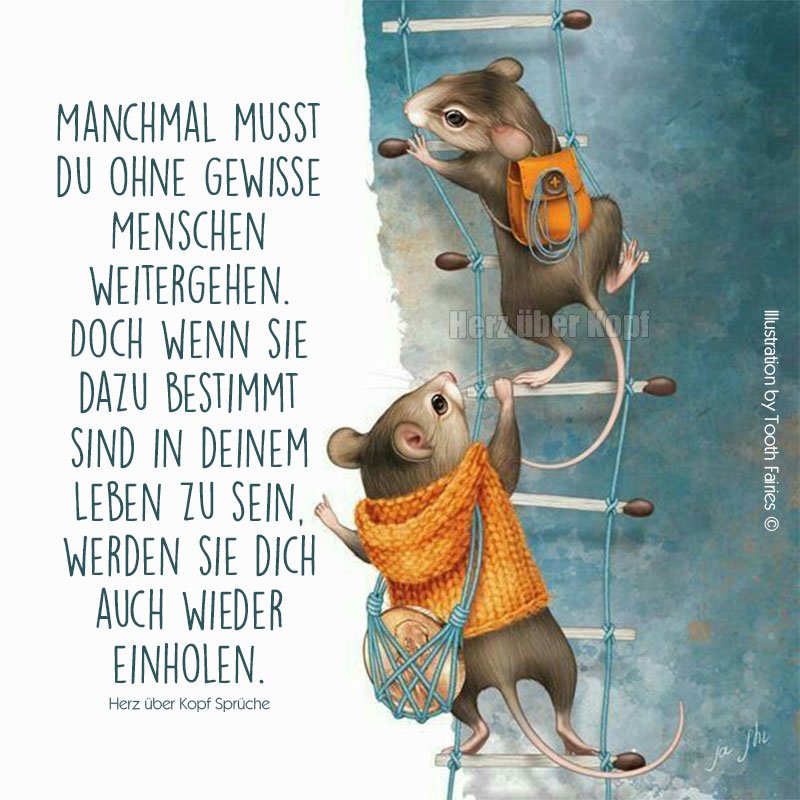 300058016_1267730187334047_1556208239753455068_n