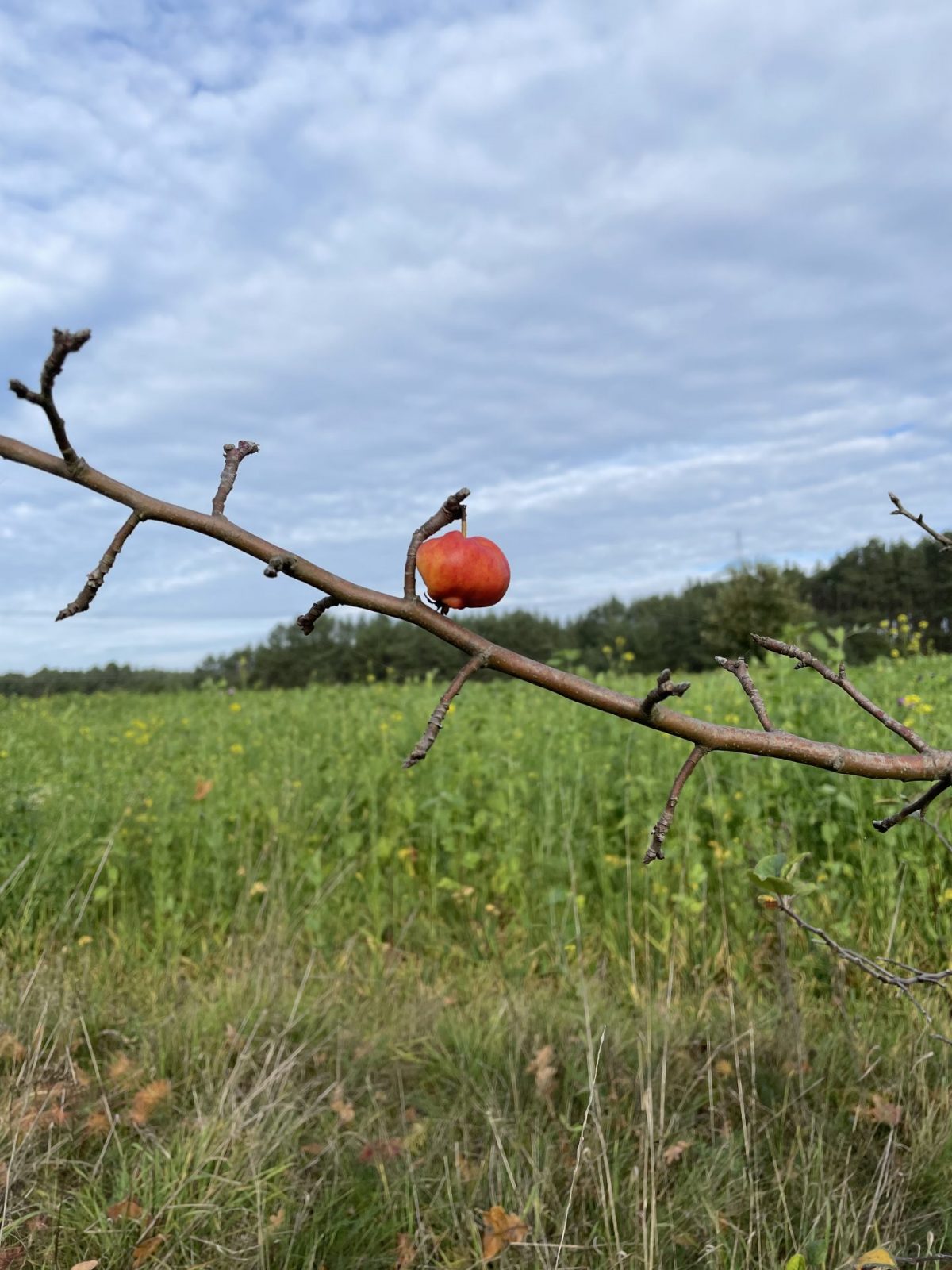 3001A8E3-EB1A-4183-B049-A53F04EC31E1