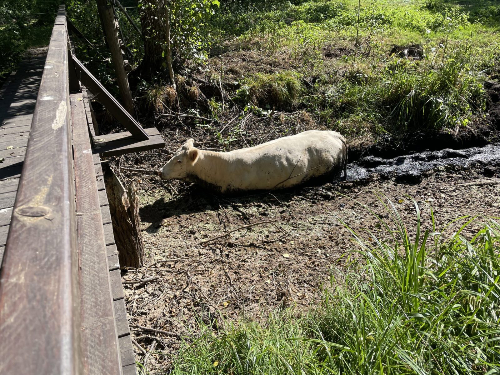 300352AA-3D8E-44FB-A289-CE9B2D48EAA5