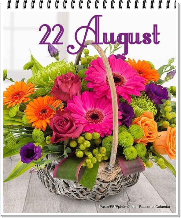 300843600_5665540546829328_2617014122511750059_n