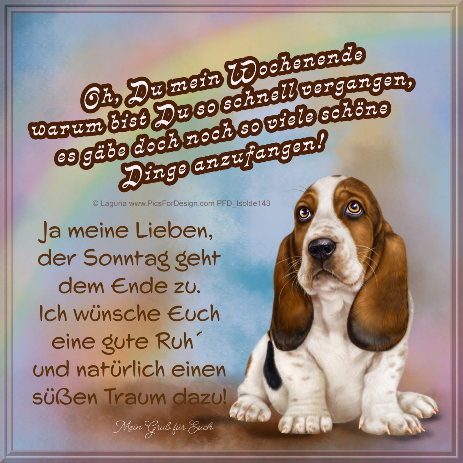 300856133_121881530598568_6039094343113305070_n