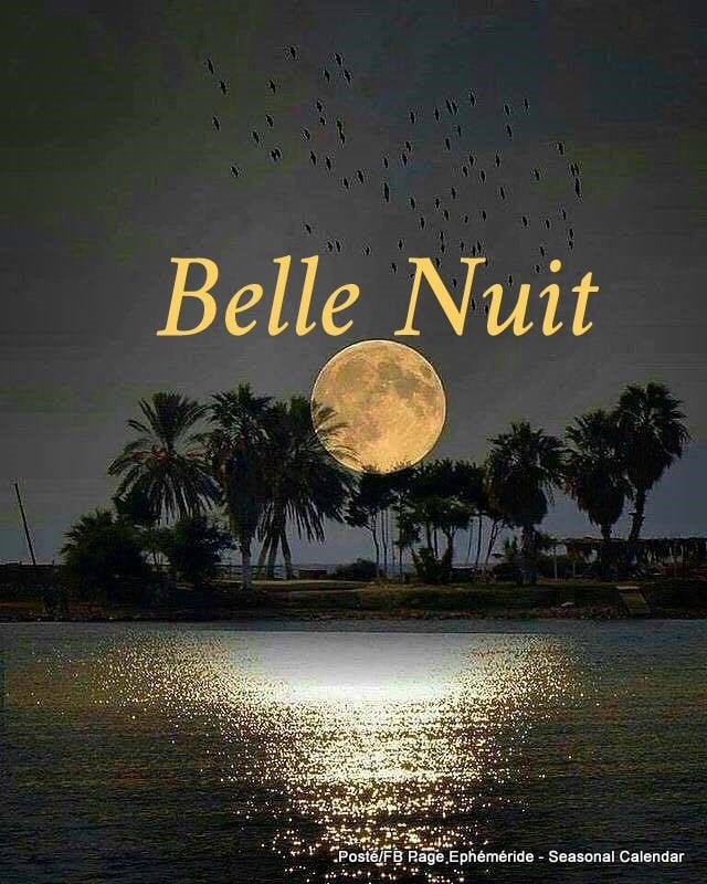 300981967_5669715516411831_4285454690382455619_n