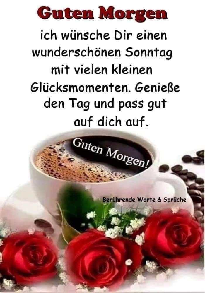 301067410_1539495456504755_1021509305503536066_n (2)