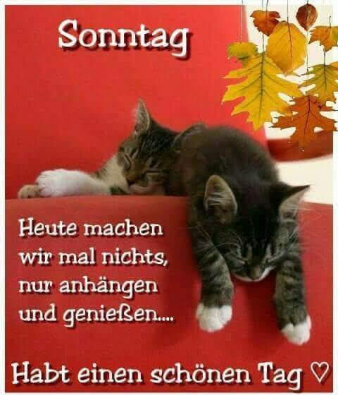 301242937_770666730834086_5345941049817905540_n (2)