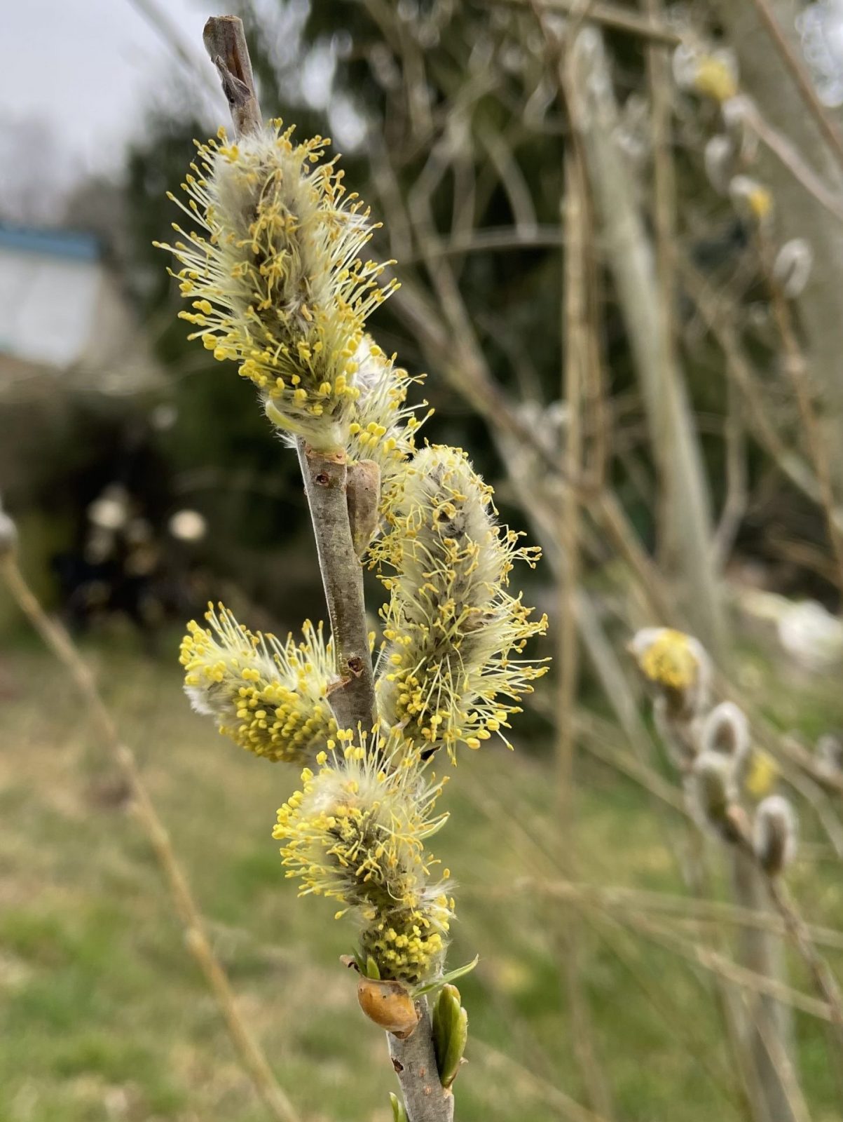 30186C1F-63BA-4124-B615-74658DFFF683